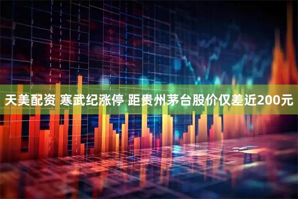 天美配资 寒武纪涨停 距贵州茅台股价仅差近200元