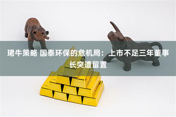 珺牛策略 国泰环保的危机局：上市不足三年董事长突遭留置