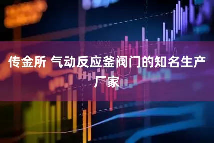 传金所 气动反应釜阀门的知名生产厂家